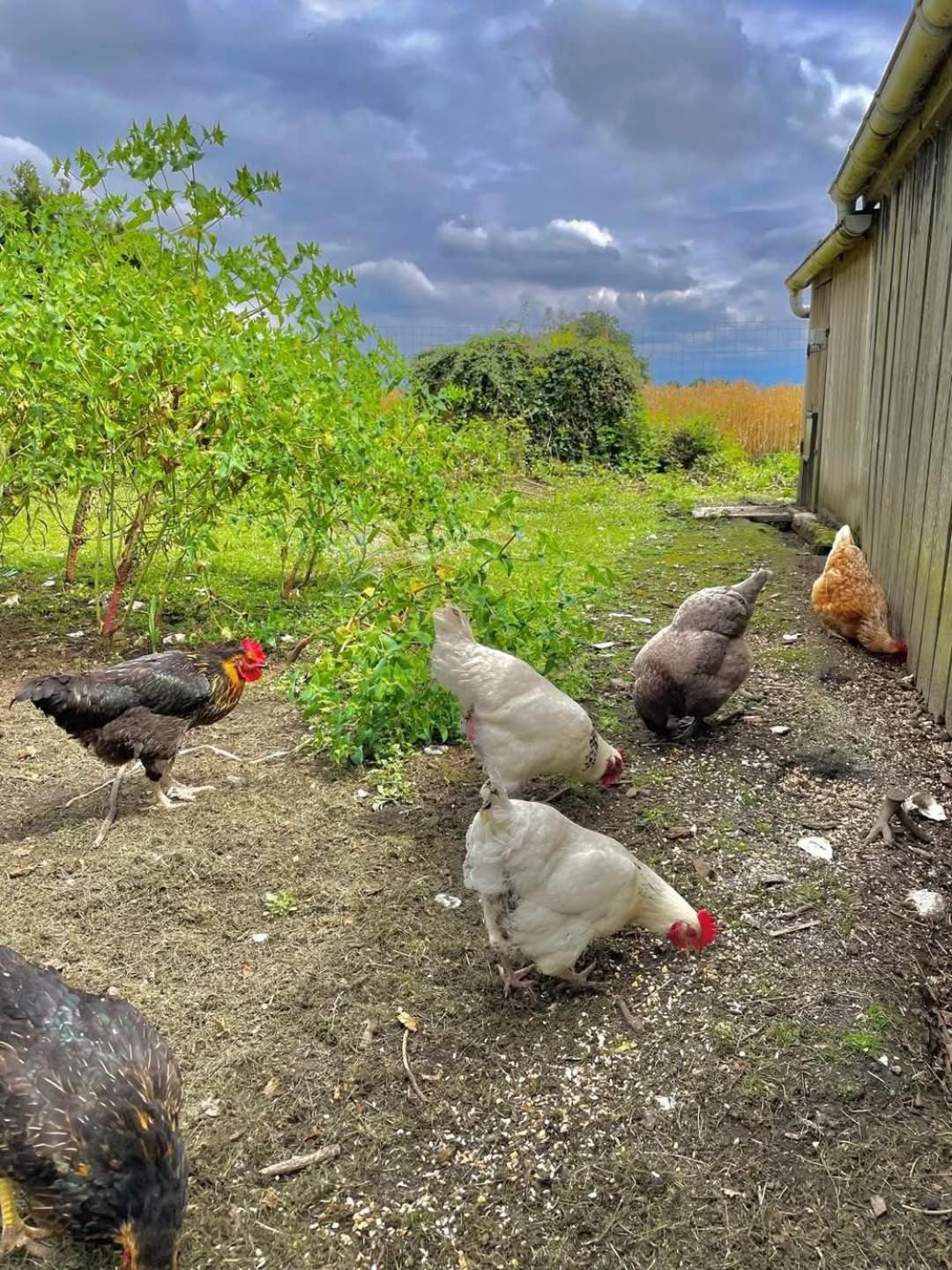 Gite Des Etourniaux La Poterie-Mathieu Exteriér fotografie